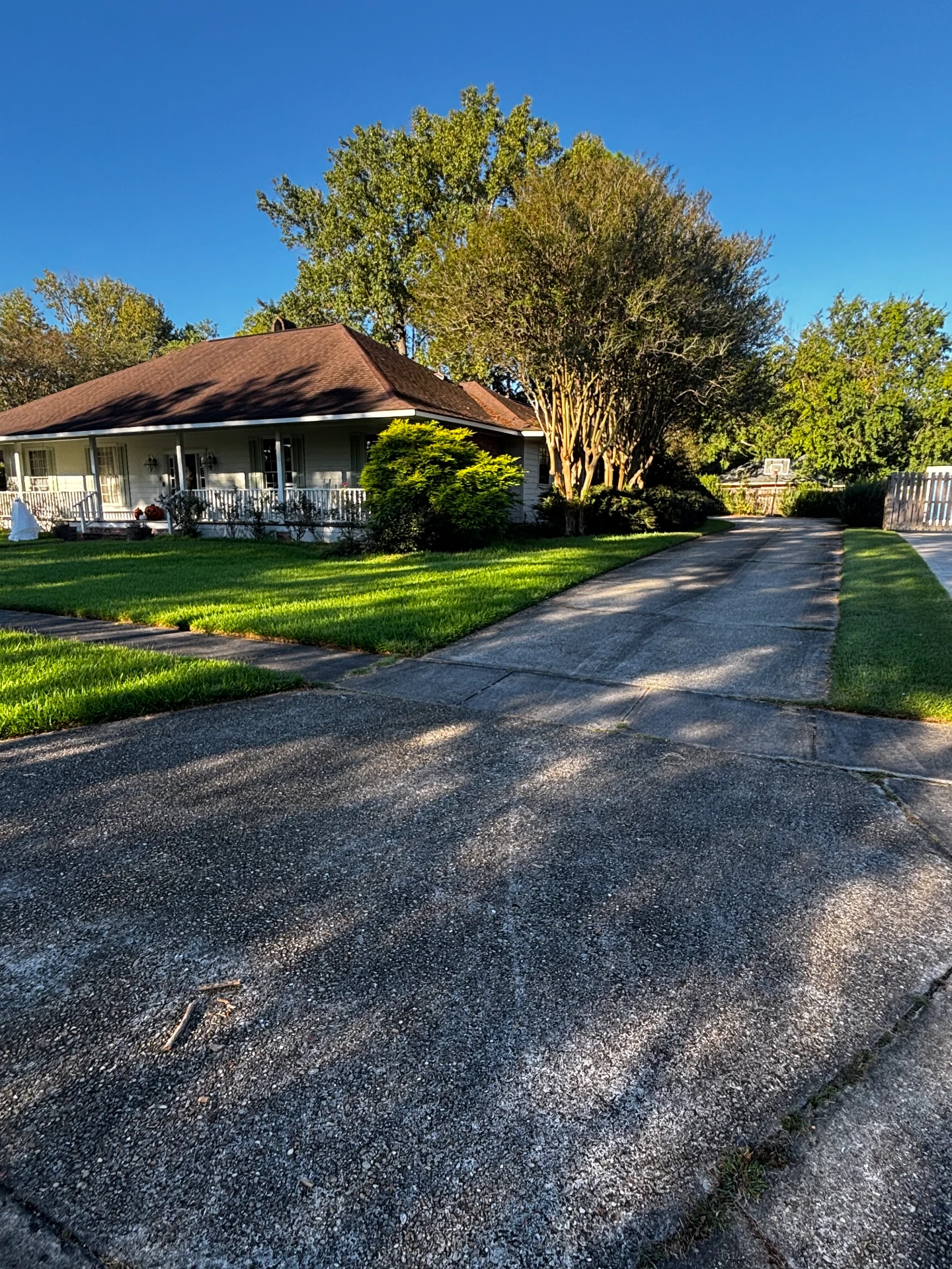 Driveway and walkway from the street before cleaning
