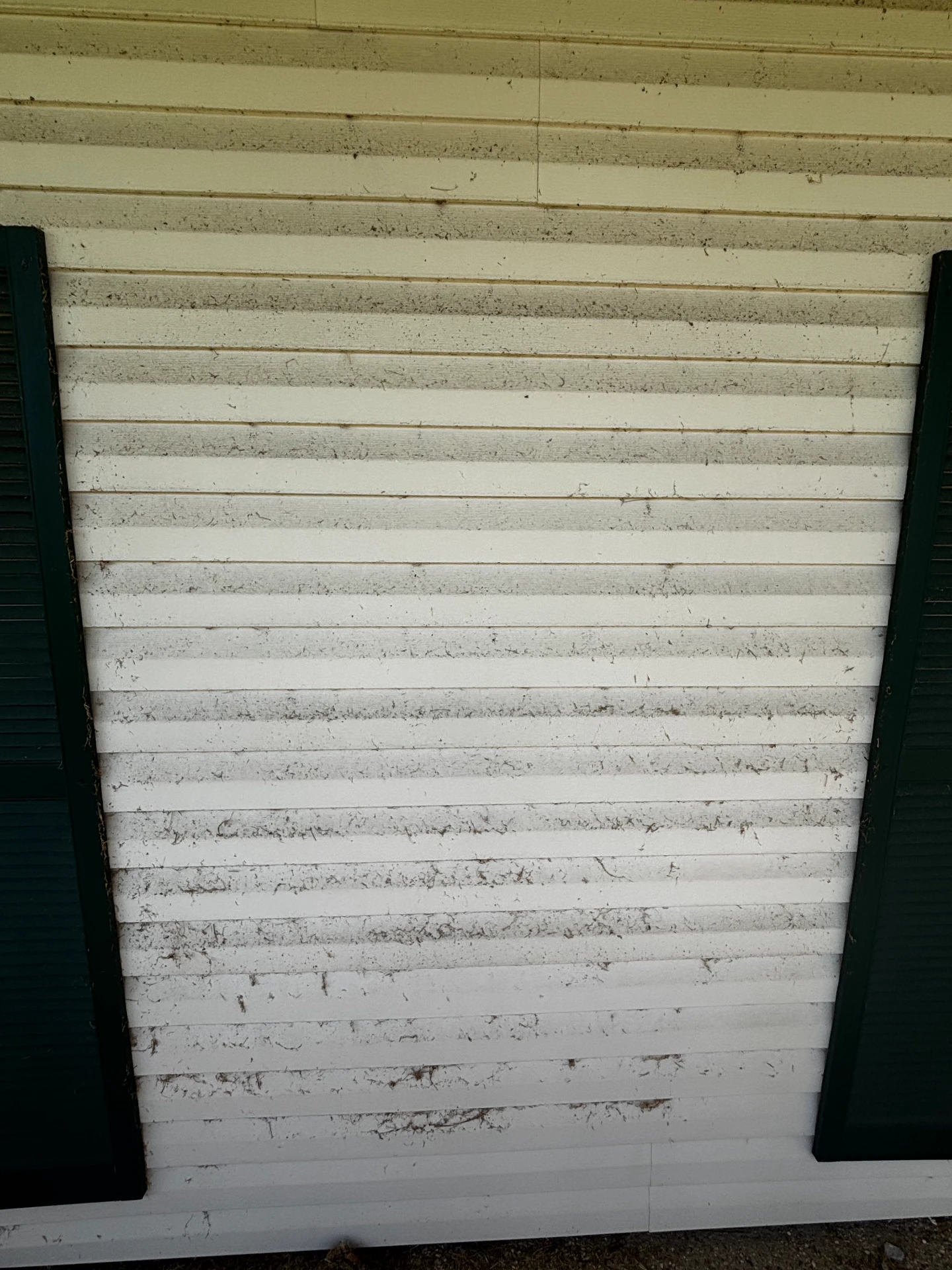 White siding between green shutters before cleaning