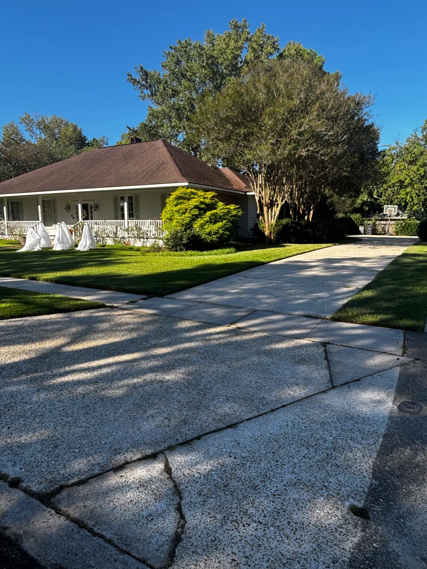Driveway and walkway from the street after cleaning